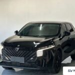 Used 2022 Venucia Big V, Black — car for export from China