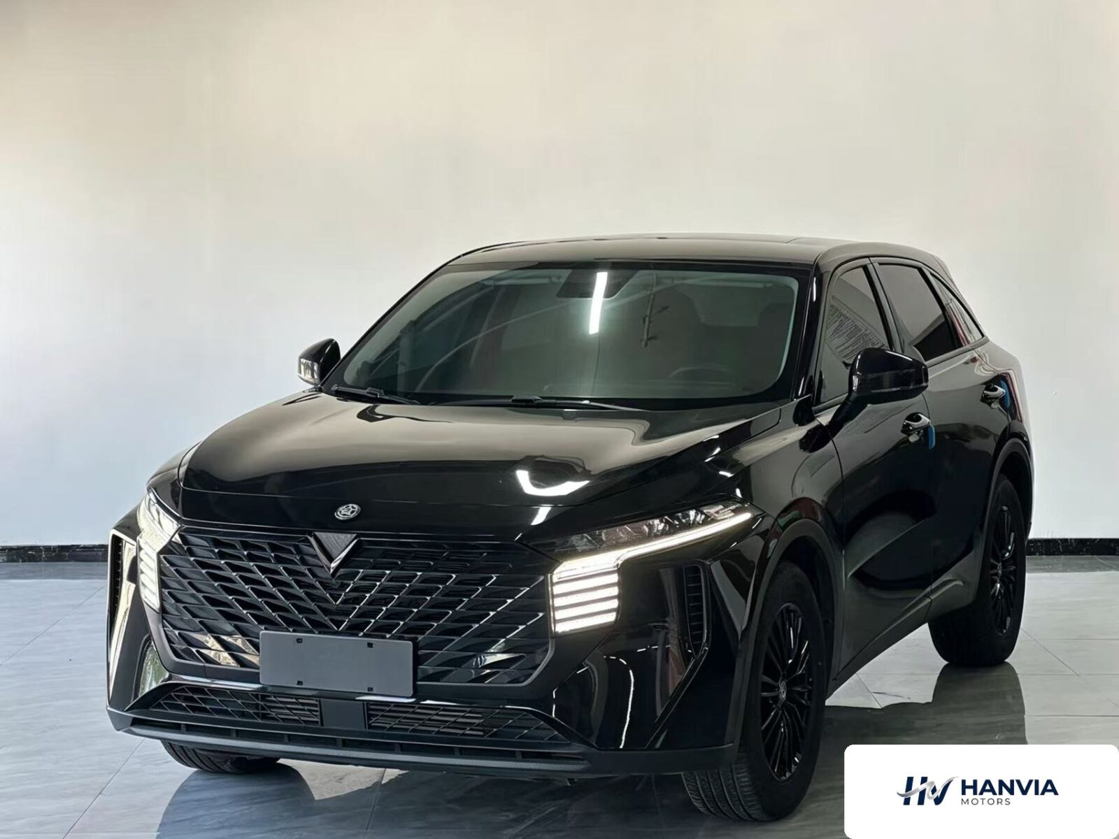Used 2022 Venucia Big V, Black — car for export from China
