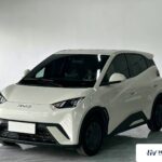 Used 2024 BYD Seagull, White — car for export from China