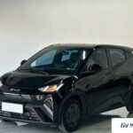 Used 2024 BYD Seagull, Black — car for export from China
