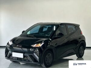 Used 2024 BYD Seagull, Black — car for export from China