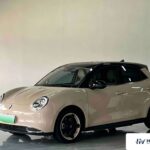 Used 2023 ORA Good Cat, Beige — car for export from China