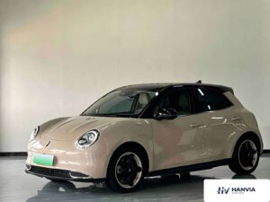 Used 2023 ORA Good Cat, Beige — car for export from China