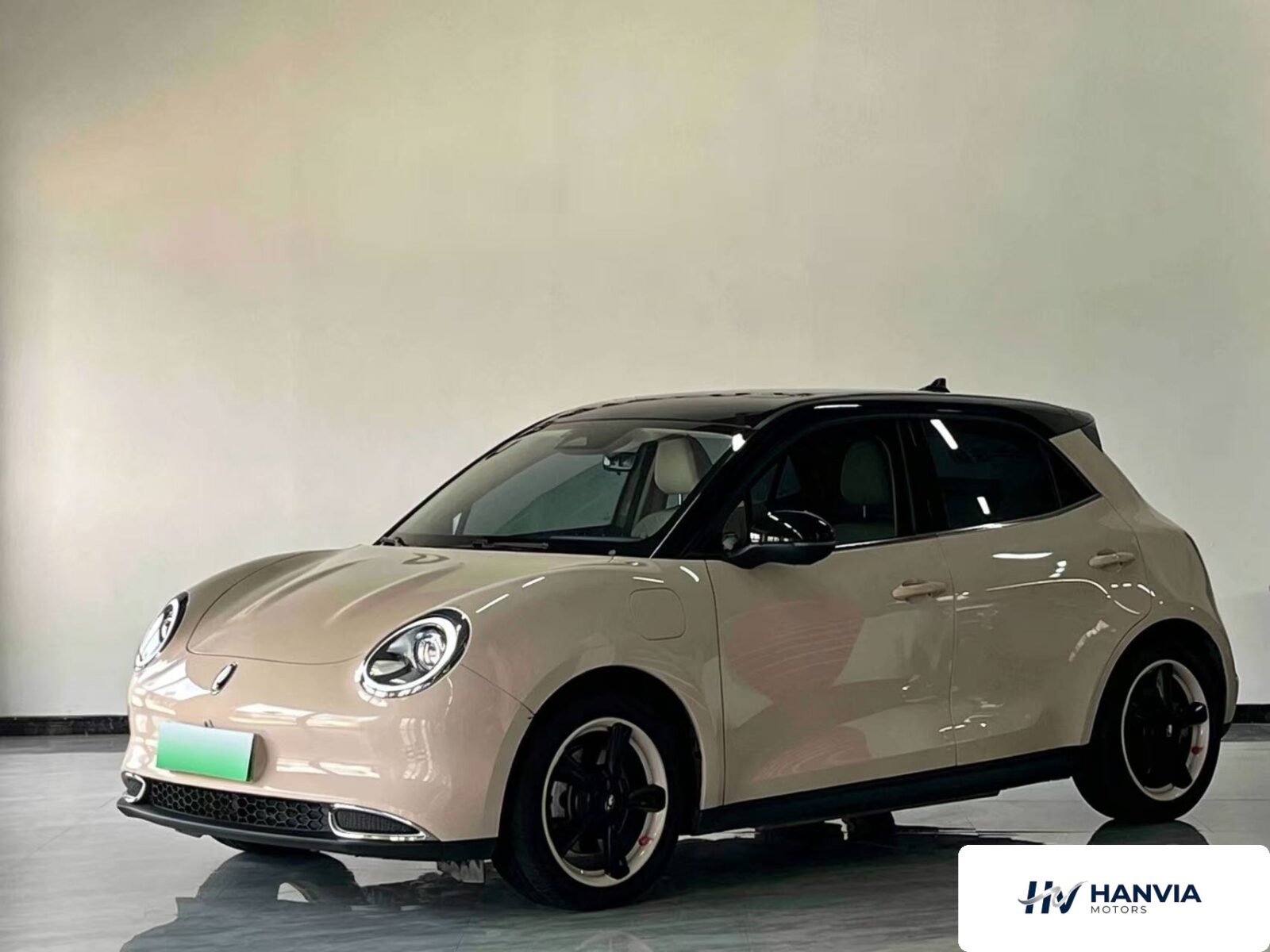Used 2023 ORA Good Cat, Beige — car for export from China
