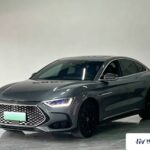 Used 2024 BYD Han DM-i, Grey — car for export from China