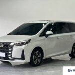 Used 2023 GAC Trumpchi M6, White — car for export from China