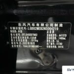 Used 2022 Venucia Big V, Black — car for export from China (photo 11)