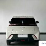 Used 2024 BYD Seagull, White — car for export from China (photo 12)