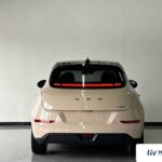 Used 2023 ORA Good Cat, Beige — car for export from China (photo 12)