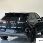 Used 2022 Venucia Big V, Black — car for export from China (photo 13)