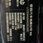 Used 2024 Leapmotor C16, Purple — car for export from China (photo 13)