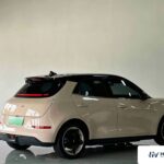 Used 2023 ORA Good Cat, Beige — car for export from China (photo 13)