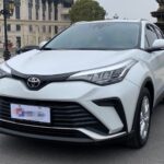 Used 2023 Toyota IZOA, Platinum White — car for export from China