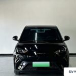 Used 2024 BYD Seagull, Black — car for export from China (photo 2)