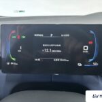Used 2024 BYD Seagull, Black — car for export from China (photo 3)