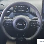 Used 2024 BYD Seagull, Black — car for export from China (photo 4)