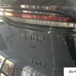 Used 2022 Venucia Big V, Black — car for export from China (photo 9)