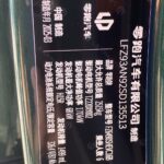 Used 2024 Leapmotor C16, Emerald Green — car for export from China (photo 9)