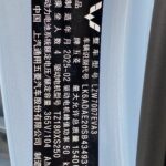Used 2024 Wuling Bingo, Sea Salt Blue — car for export from China (photo 9)