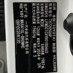 Used 2023 Toyota IZOA, Platinum White — car for export from China (photo 9)