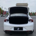 Used 2024 Buick Regal, Ice White — car for export from China (photo 17)