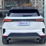 Used 2020 Lynk & Co 06, Black / White — car for export from China (photo 17)