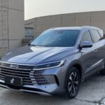Used 2025 BYD Sealion 05, Time Grey — car for export from China (photo 10)