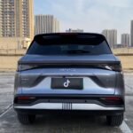 Used 2025 BYD Sealion 05, Time Grey — car for export from China (photo 13)