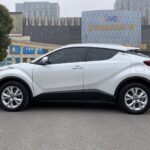 Used 2023 Toyota IZOA, Platinum White — car for export from China (photo 16)