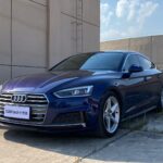 Used 2019 Audi A5, Navarra Blue — car for export from China (photo 30)